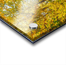 Park Bench Acrylic print