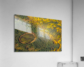 Natural Bog Acrylic Print