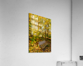 Park Bench Acrylic Print