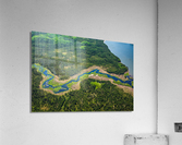 Wilderness Stream Acrylic Print