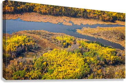 Northern Aerial Canvas Print
