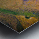 Natural Oilsands Metal print