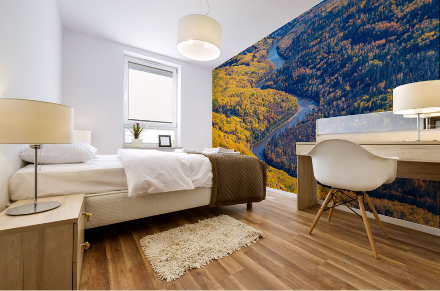 Christina River View Mural print