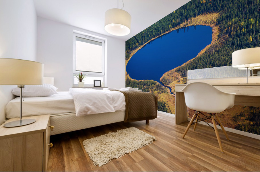Circle Lake Mural print
