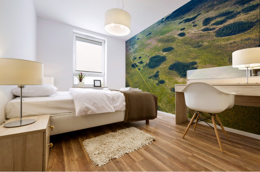 Aerial Patterns Mural print