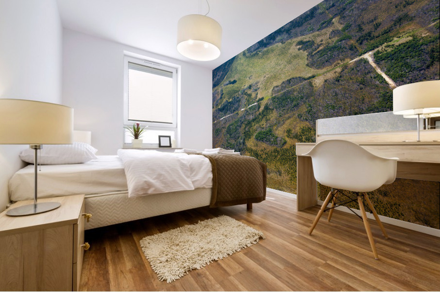 Boreal Landscape Mural print