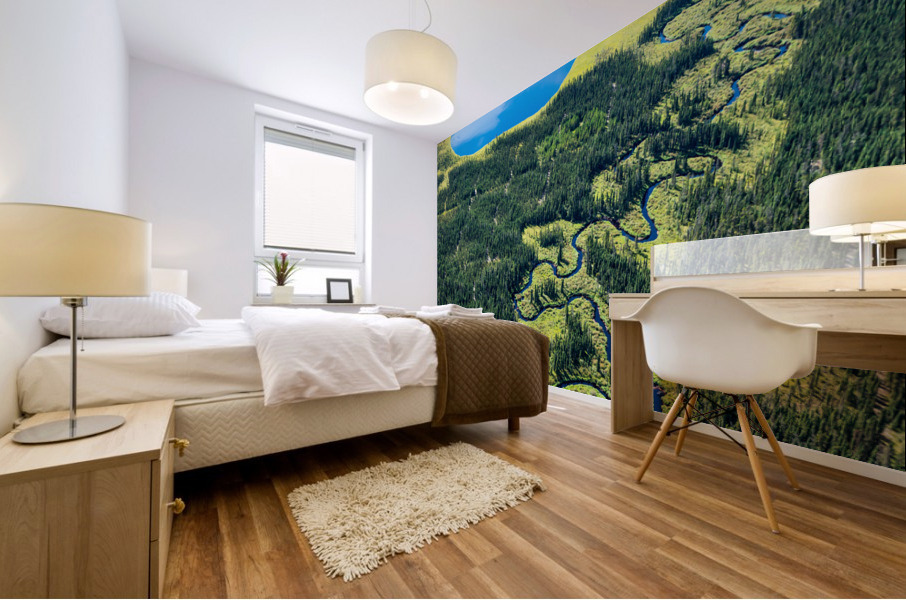 Lake and Stream Mural print