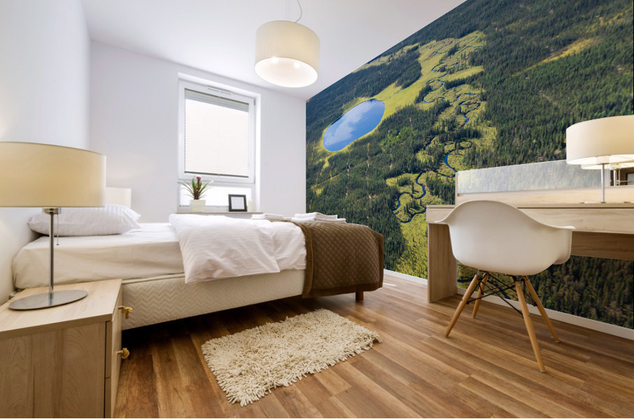 Lake Stream and Sky Mural print