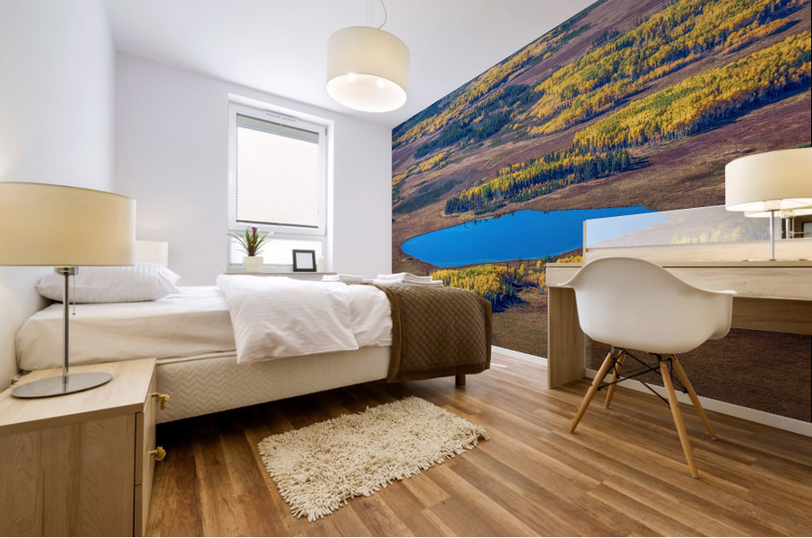 Tiny Lake Mural print