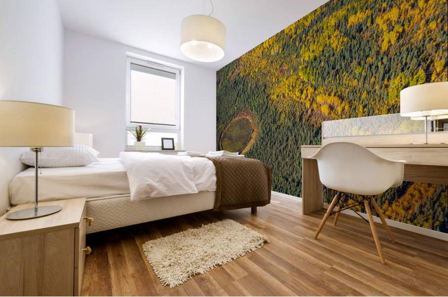 Natural Bog Mural print