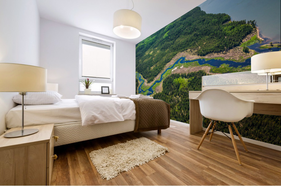 Wilderness Stream Mural print