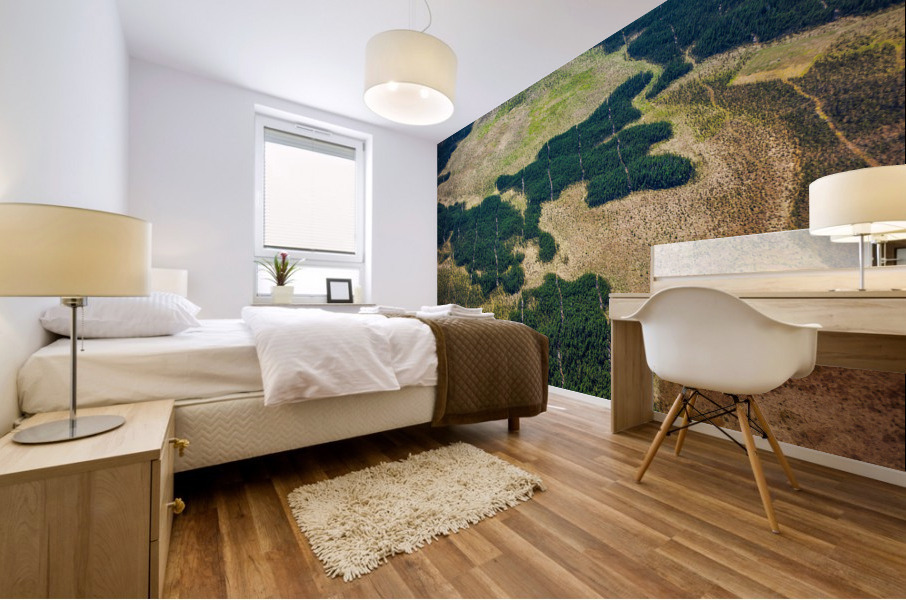 Wavey Lines Mural print