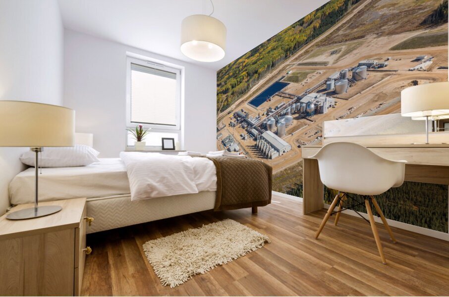 Jackfish 2 2014 fromSW Mural print