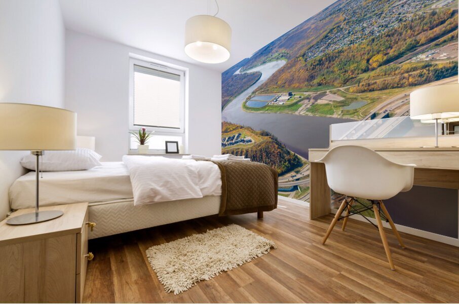 Athabasca River 2020 Mural print