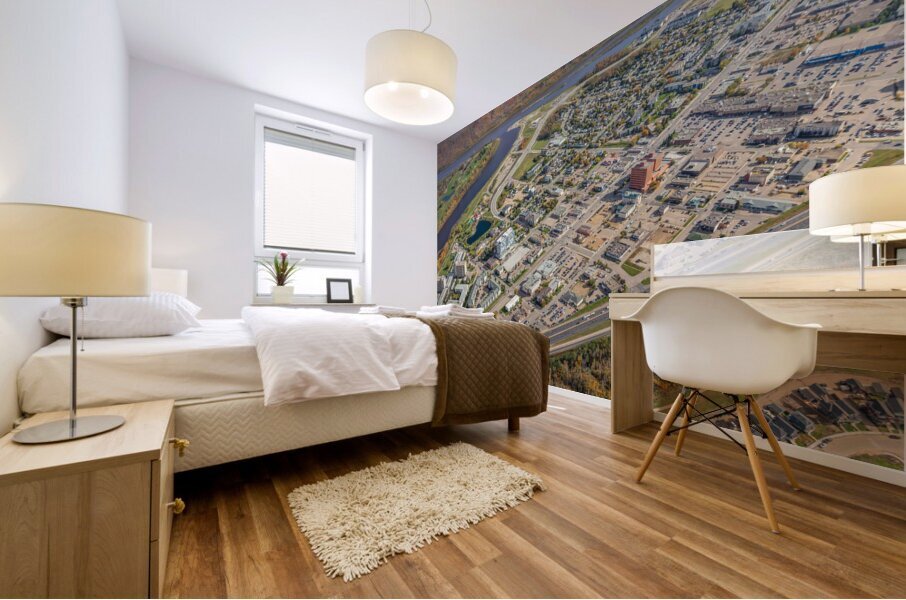 Downtown closeup 2020 Mural print