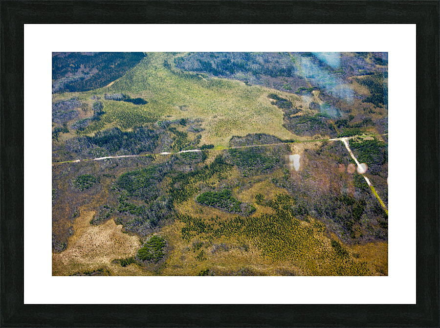 Boreal Landscape Picture Frame print