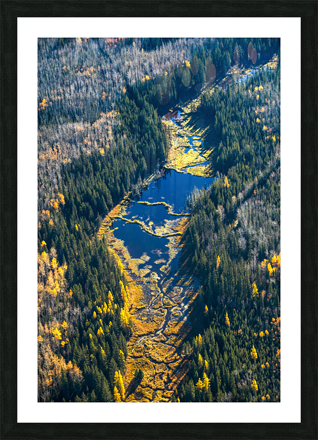 Wetlands in Fall Picture Frame print