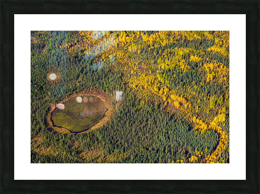 Natural Bog Picture Frame print