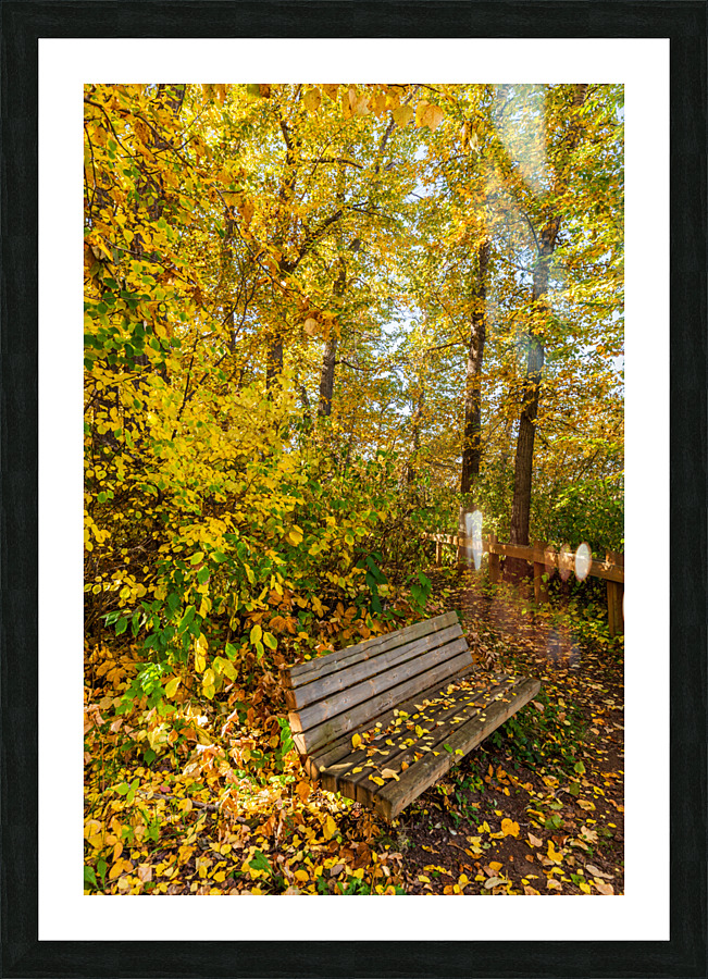 Park Bench Picture Frame print