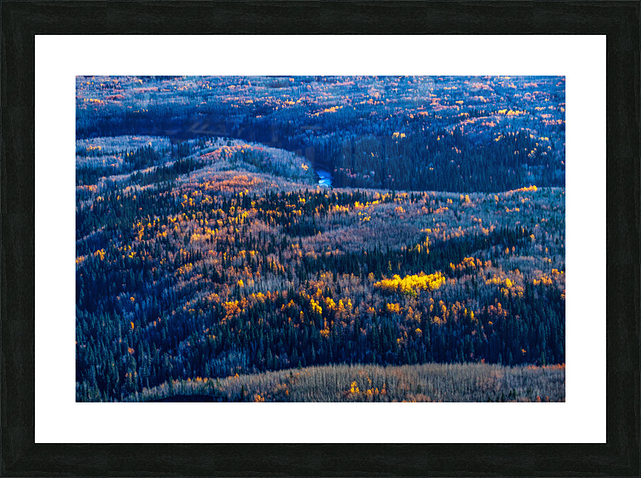 Late Autumn Picture Frame print