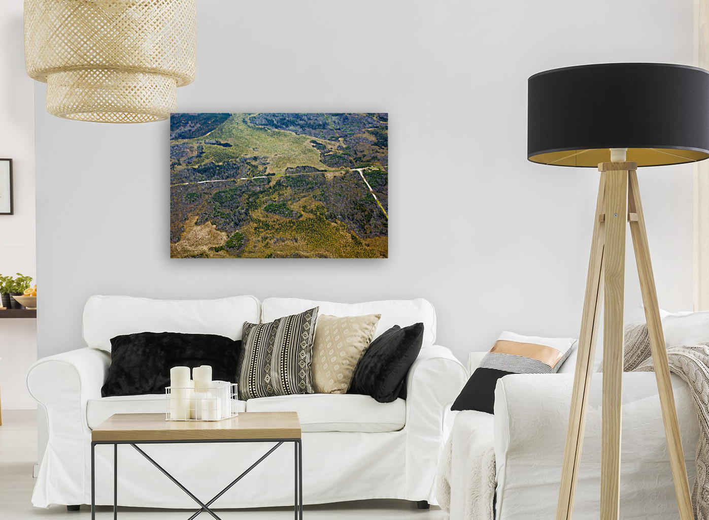 Boreal Landscape Reproduction