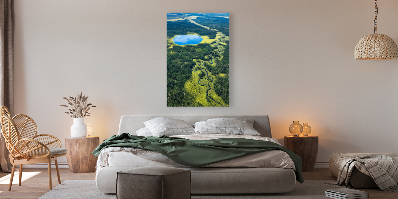 Lake and Stream Reproduction