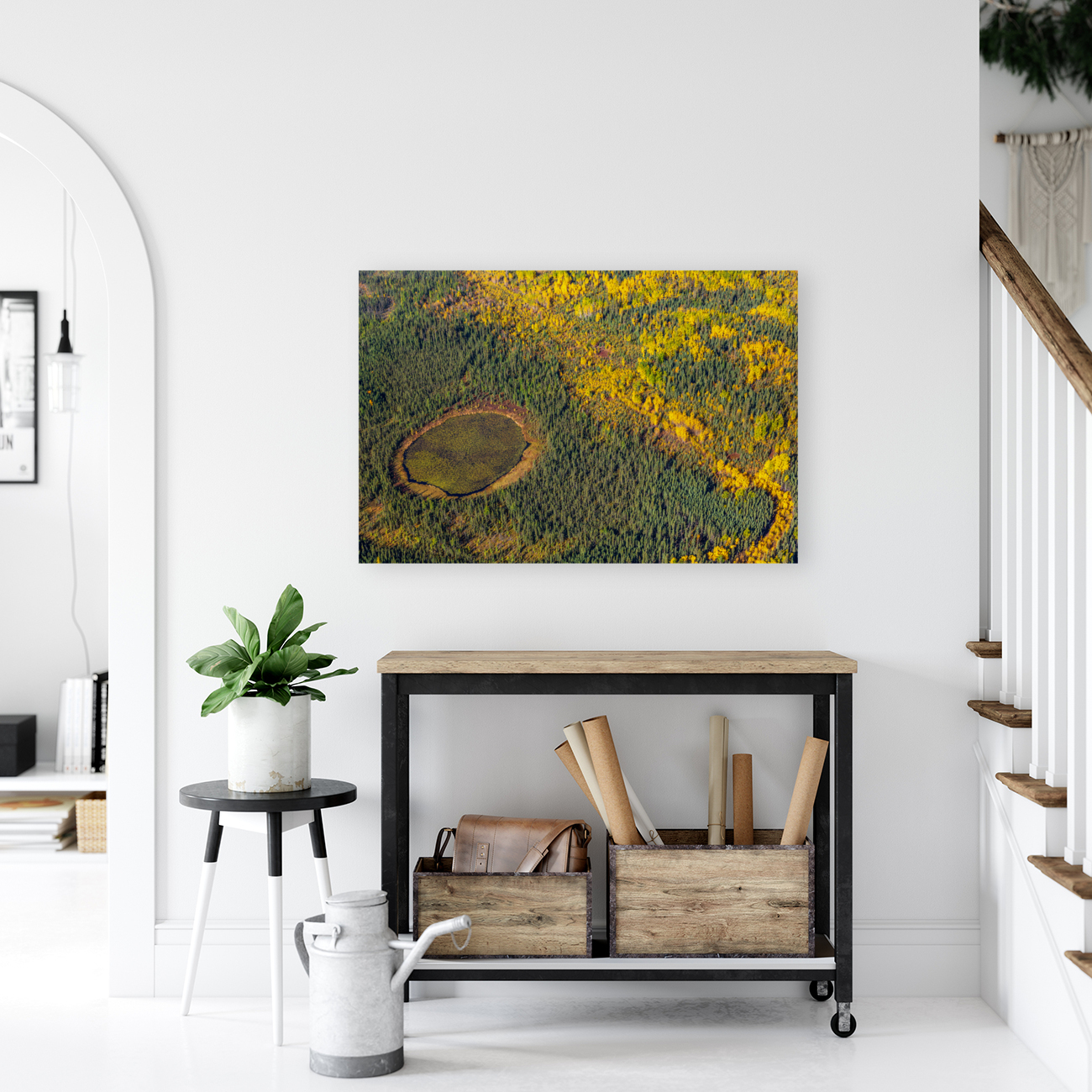 Natural Bog Reproduction