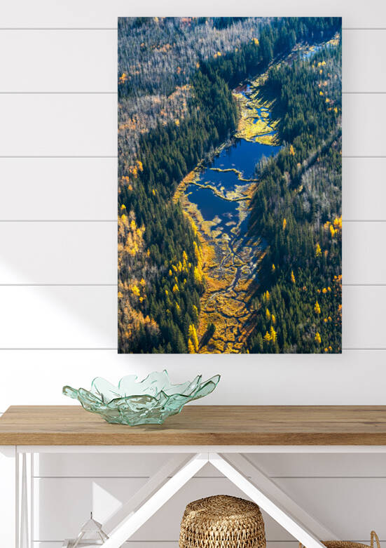 Wetlands in Fall by Rick Boden