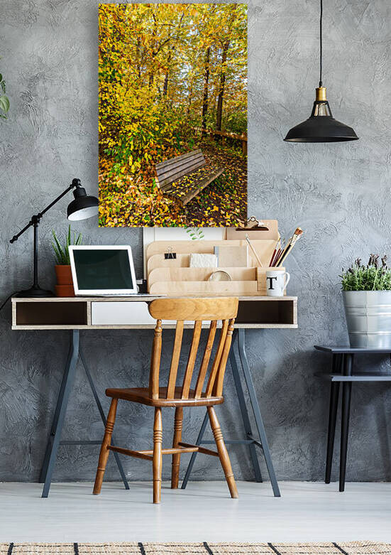 Park Bench by Rick Boden