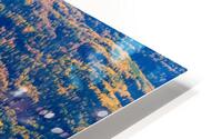 Christina River View HD Metal print
