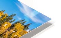 Athabasca Autumn HD Metal print