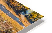 Northern Aerial HD Metal print
