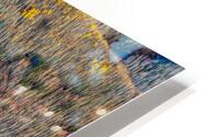 MacKay River HD Metal print