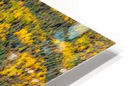Natural Bog HD Metal print