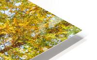 Park Bench HD Metal print