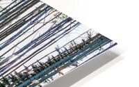 Northern Treescape HD Metal print
