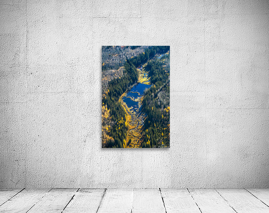 Wetlands in Fall Wall Preview