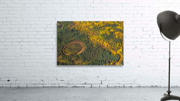 Natural Bog Wall Preview