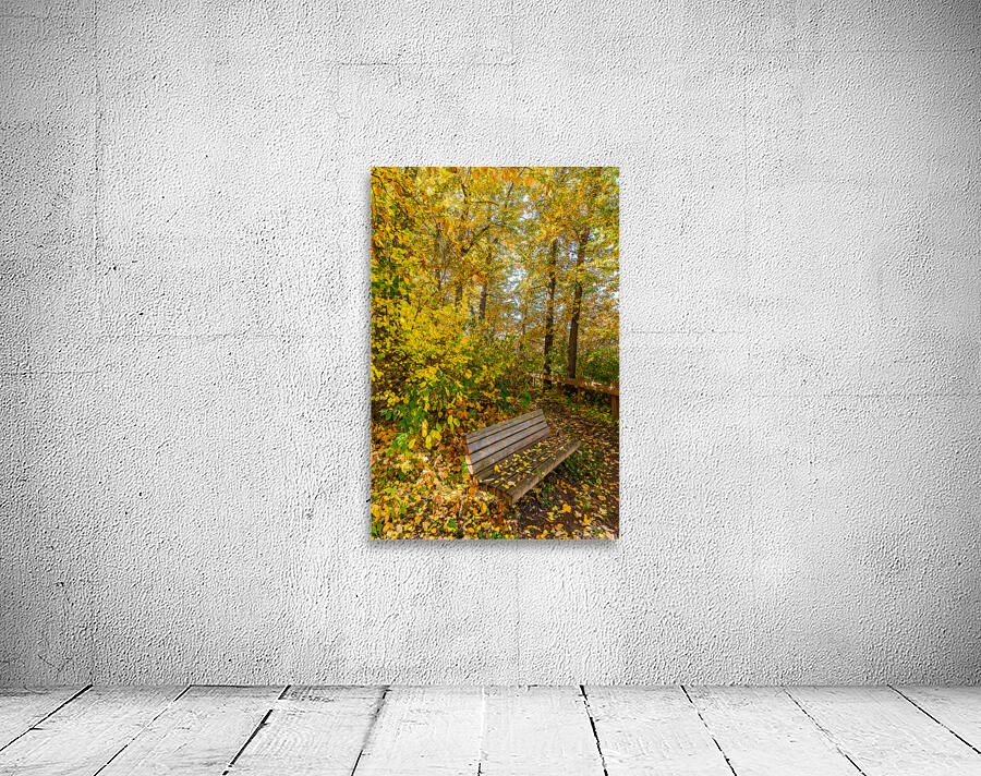 Park Bench Wall Preview