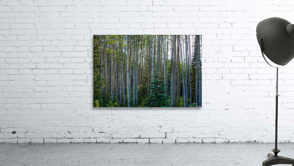 Northern Treescape Wall Preview