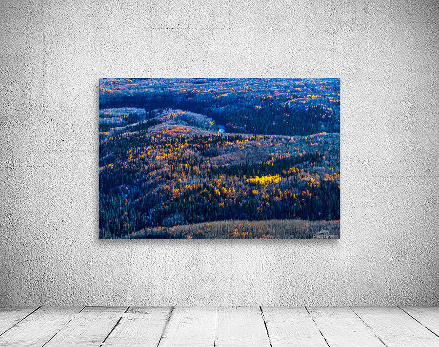 Late Autumn Wall Preview
