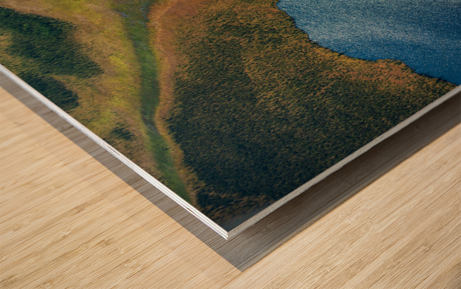 Land and Lake Wood print