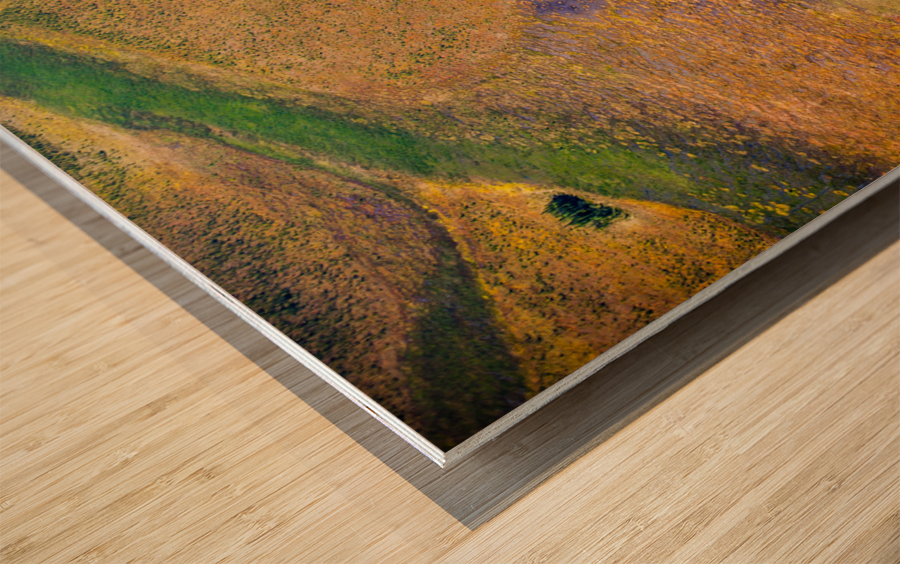 Natural Oilsands Wood print