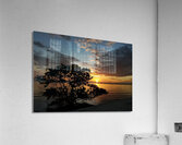 20200613 201916 Acrylic Print