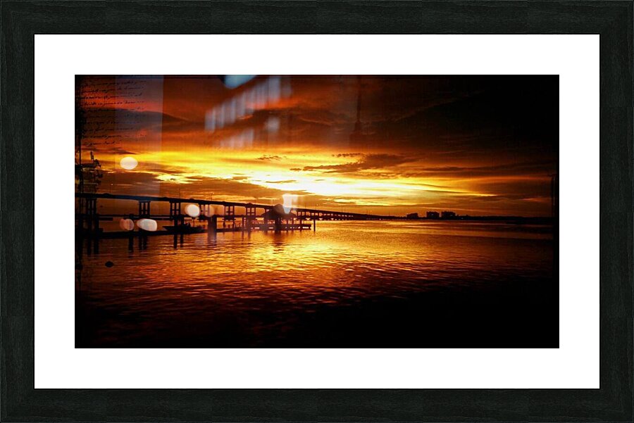 1072522 10151720191686764 36310629 o 101517201916 Picture Frame print