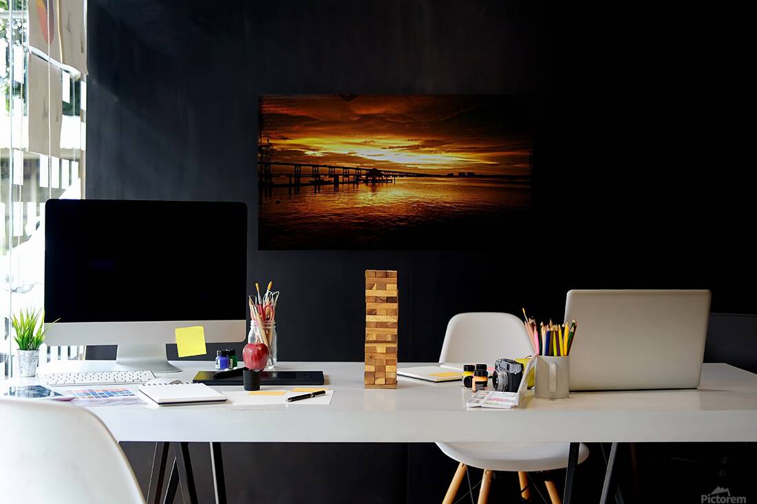 1072522 10151720191686764 36310629 o 101517201916 Reproduction