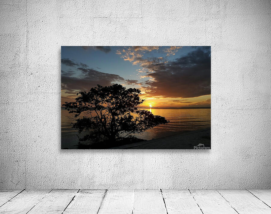 20200613 201916 Wall Preview