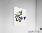Painted Veil Acrylic Print