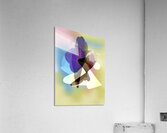 Transitions 2 Acrylic Print