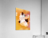 Fantasy Acrylic Print